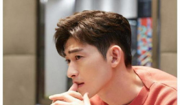 吃瓜娱乐圈张翰,娱乐圈的瓜田漫步者